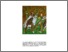 [thumbnail of Muzzarelli06Tavole.pdf]