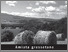 [thumbnail of amiatagrossetano-arcidosso.pdf]