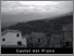 [thumbnail of amiatagrossetano-casteldelpiano.pdf]