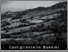 [thumbnail of amiatagrossetano-castiglioncello.pdf]