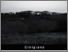 [thumbnail of amiatagrossetano-cinigiano.pdf]
