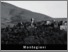[thumbnail of amiatagrossetano-montegiovi.pdf]