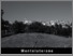 [thumbnail of amiatagrossetano-montelaterone.pdf]