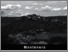 [thumbnail of amiatagrossetano-montenero.pdf]