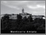 [thumbnail of amiatagrossetano-monticello.pdf]