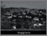 [thumbnail of amiatagrossetano-seggiano.pdf]
