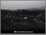 [thumbnail of colline-montemerano.pdf]