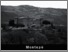 [thumbnail of colline-montepo.pdf]