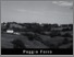[thumbnail of colline-poggio.pdf]