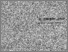 [thumbnail of Sorrento-Medioevo.pdf]