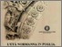 [thumbnail of Atti-convegno-letà-normanna-in-Puglia_Guzzo.pdf]