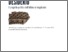 [thumbnail of Giostra-Insediamento_longobardo.pdf]