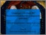 [thumbnail of Linguaggi e ideologie del Rinascimento monarchico aragonese (1442-1503).pdf]
