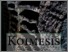 [thumbnail of Koìmesis Scandurra.pdf]