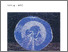 [thumbnail of unimi_9470.pdf]