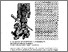 [thumbnail of serena_2336.pdf]