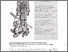 [thumbnail of serena_2344.pdf]